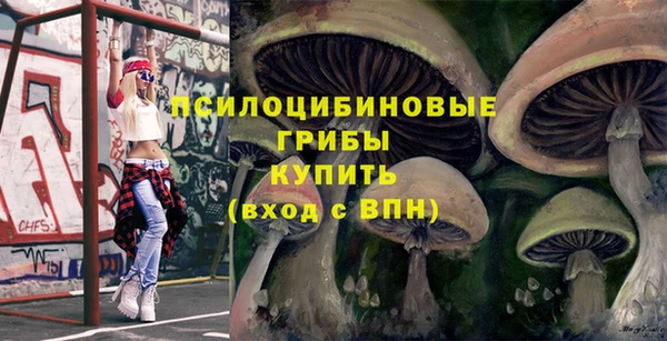ECSTASY Богородицк