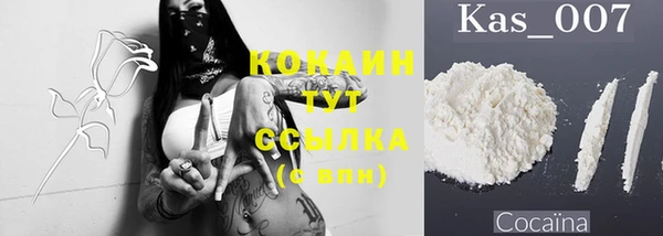 ECSTASY Богородицк