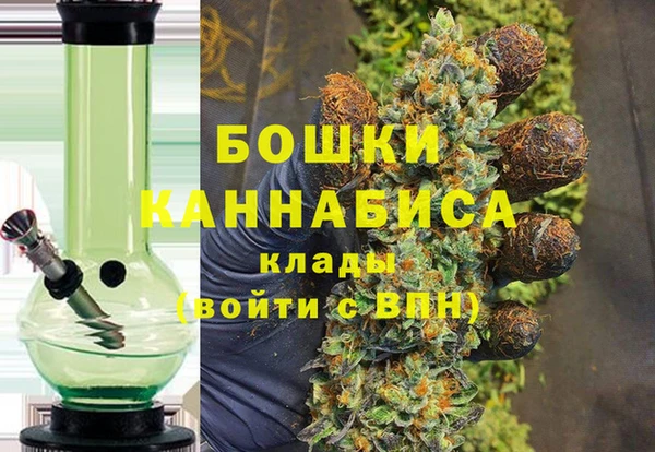 ECSTASY Богородицк