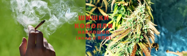 мяу мяу кристалл Богданович