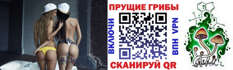Псилоцибиновые грибы Psilocybe  купить закладку  Томск 